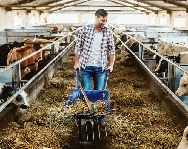 ЧПУП «Метрасалес»