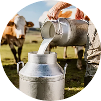 ЧПУП «Метрасалес»