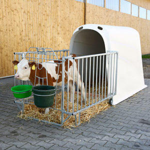 Домик для телят индивидуальный | ЧПУП «Метрасалес»