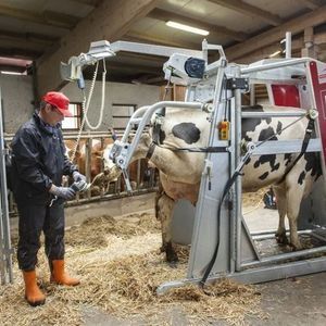 Станок для обработки копыт | ЧПУП «Метрасалес»