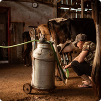 Расширение линейки